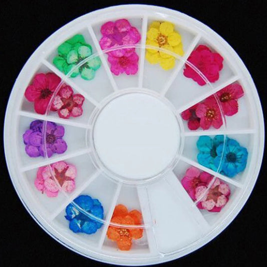 Natural Multicolor Flowers