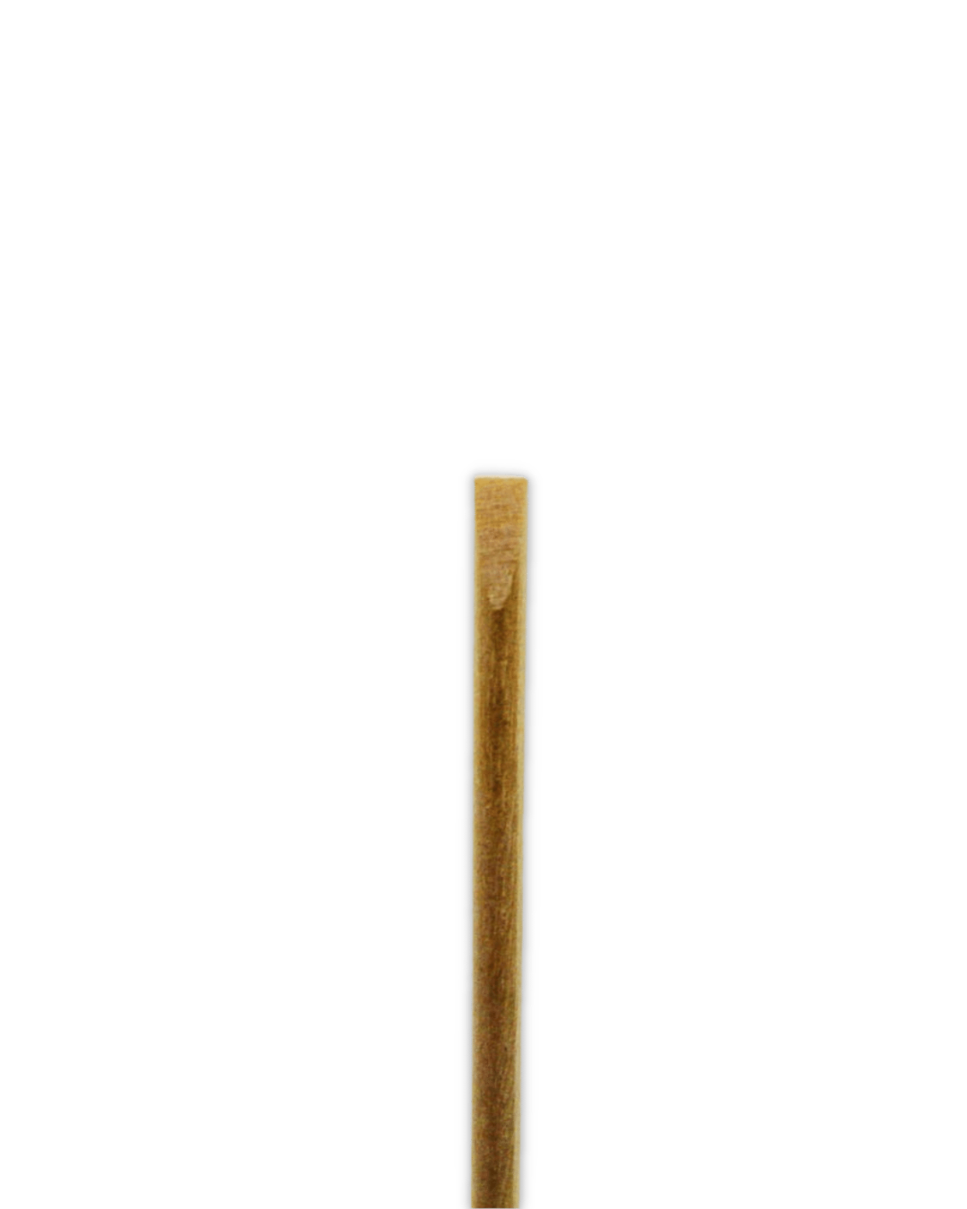 PALITOS DE NARANJO - paquete de 5 palitos